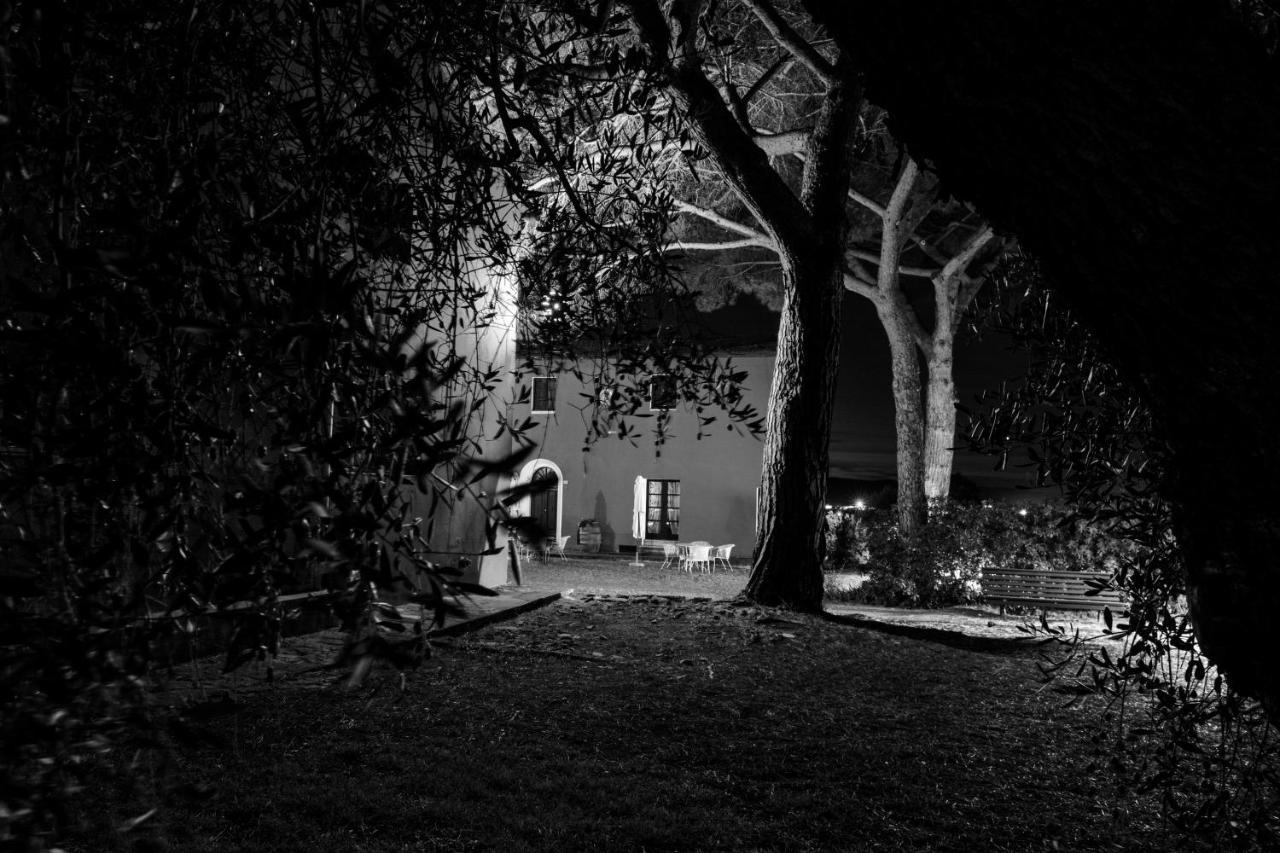 Tenuta Col Di Sasso Scarlino Exterior foto