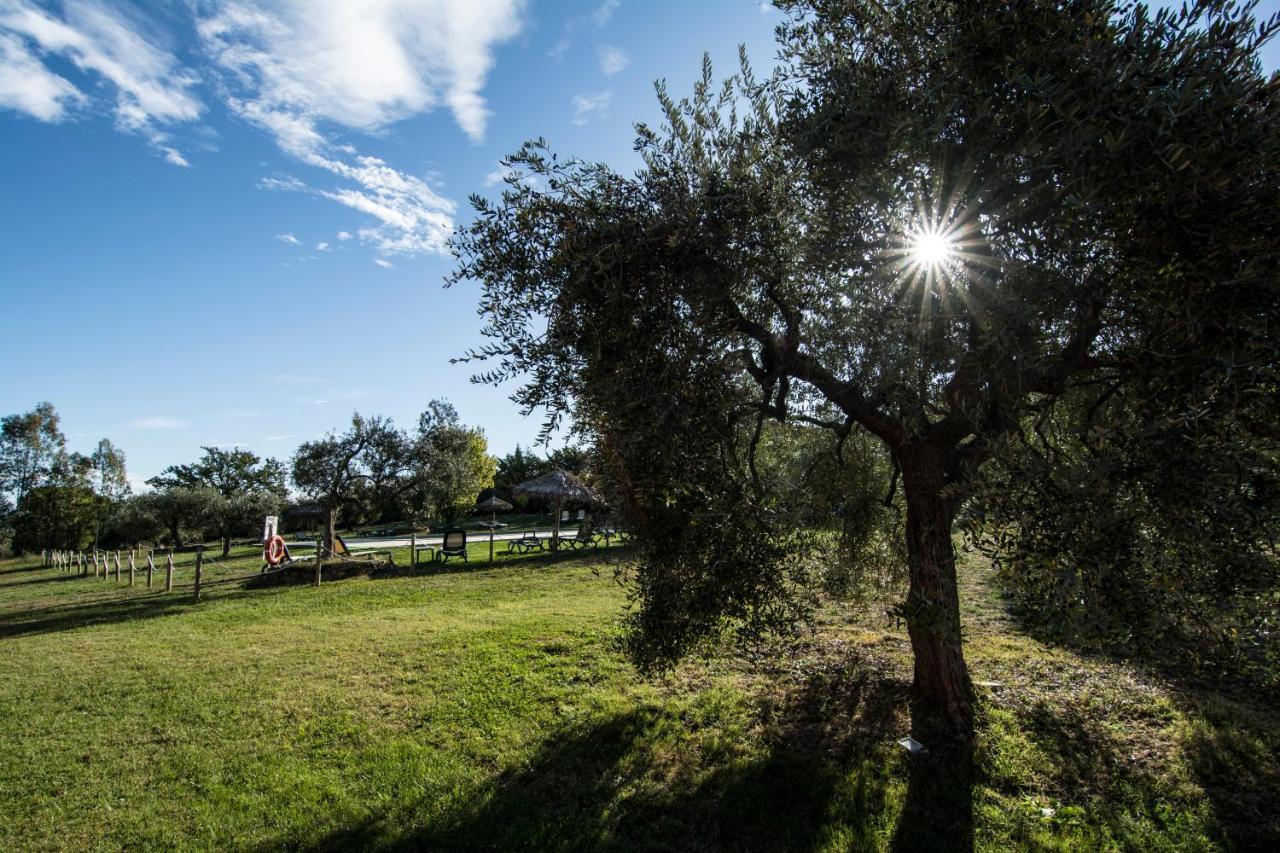 Tenuta Col Di Sasso Scarlino Exterior foto